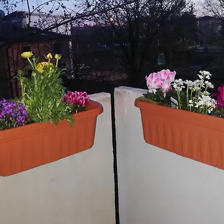 Apartamento Con Due Da Letto E Free Park