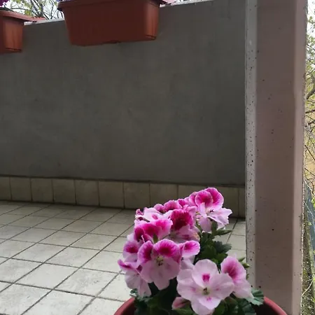 Apartment Con Due Da Letto E Free Park