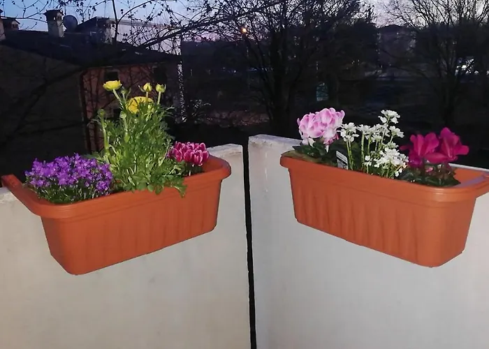 Apartmán Con Due Da Letto E Free Park